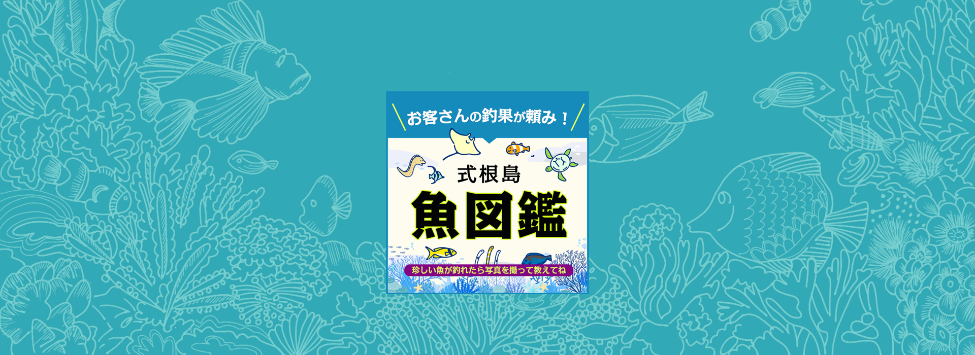 式根島で釣れる魚図鑑 | 式根島マガジン｜東京の離島