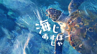 海水浴・シュノーケル・ダイビング