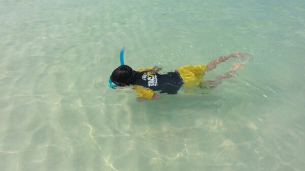 大自然！式根島で子どもに冒険させよう！