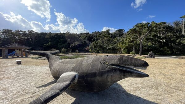 小の口公園｜Konokuchi Park