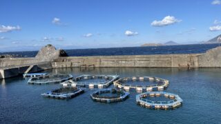 式根島養殖場｜Shikinejima Fish Farm