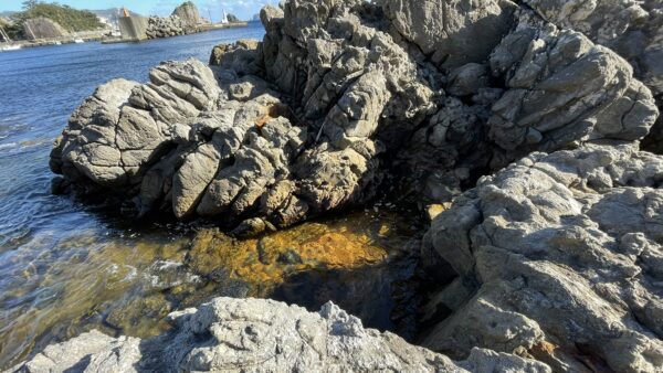 山海の湯｜Sankainoyu Onsen