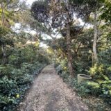 野鳥の小道｜Wild Bird Trail