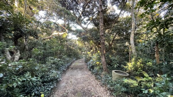 野鳥の小道｜Wild Bird Trail