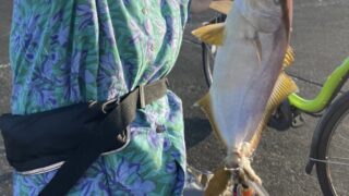 式根島で実現できる120の「人生でやってみたいことリスト」