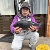 ［釣果報告］寒グレ