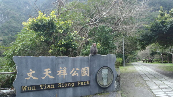 台湾温泉巡り六日目　文山、廬山