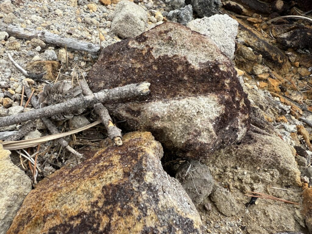 ガラス質のコーガ石