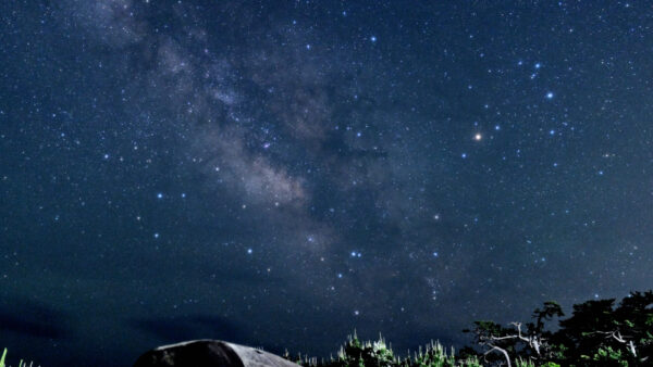 くじらと天の川