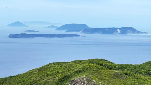 式根島リピーターの種類と選ばれる理由