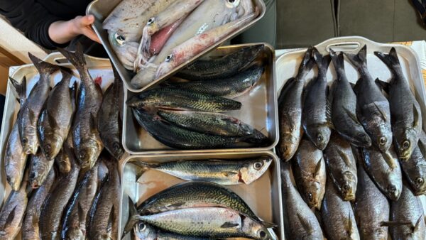 頼れるひだぶん常連釣り師くんたち