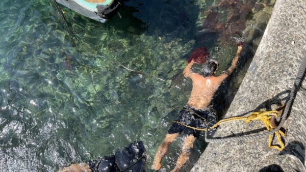 式根島のトサカノリ漁