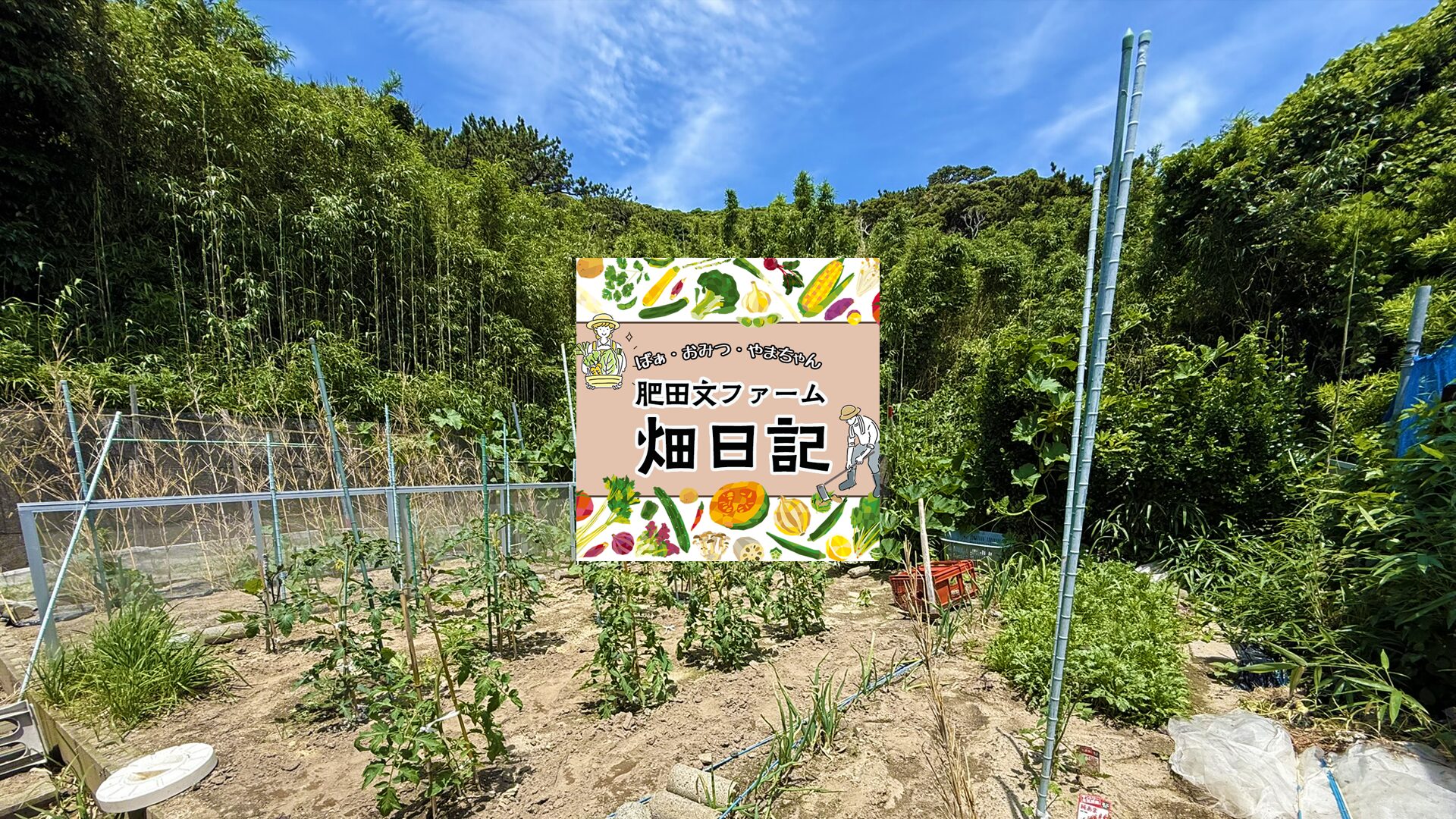 ひだぶん畑日記 | 式根島マガジン｜東京の離島