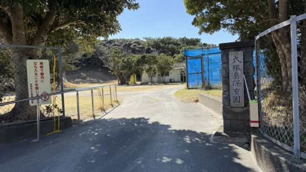 式根島保育園｜Shikinejima Nursery School