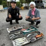 島育ちがシンパチで挑んだ磯釣りの釣果七目～良型尾長グレ