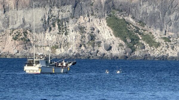 式根島のお盆行事と精霊船