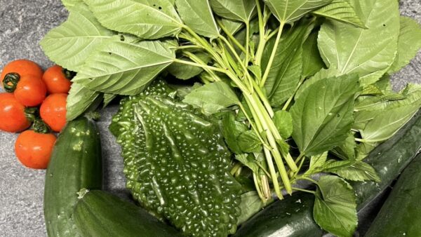 日照り続きの7月の菜園と梅干し