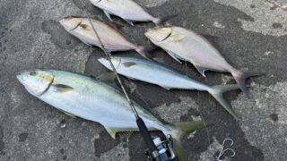 【釣り人必見】式根島の桟橋釣りのお役立ち情報と基本マナー