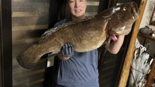 もり突き師が闇夜で制した岩礁の王クエ14㎏！究極の美味を大盤振る舞い