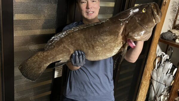 もり突き師が闇夜で制した岩礁の王クエ14㎏！究極の美味を大盤振る舞い