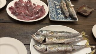 初めてちゃんと道具を用意して釣りにトライ！結果はムロアジ大爆釣＆イサキGET女子に！