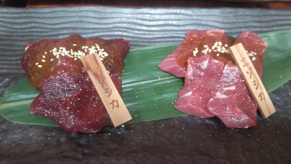 屋久島デビュー