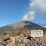 鹿児島に戻ったらまた豚を食べるに決まってる