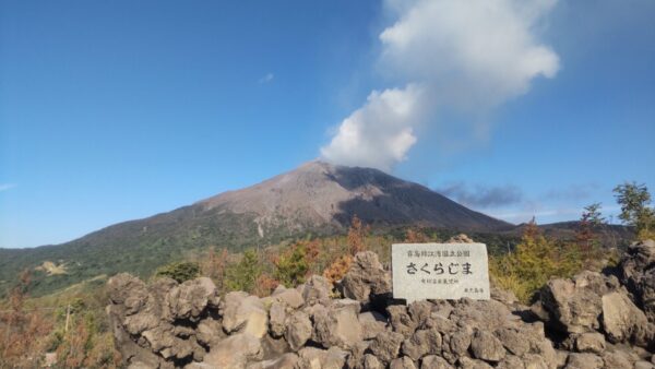 鹿児島に戻ったらまた豚を食べるに決まってる