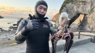 常連モリ突き師が、式根の海で大ダコと石鯛・イシガキダイを突きまくる！
