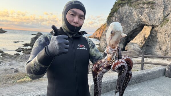 常連モリ突き師が、式根の海で大ダコと石鯛・イシガキダイを突きまくる！
