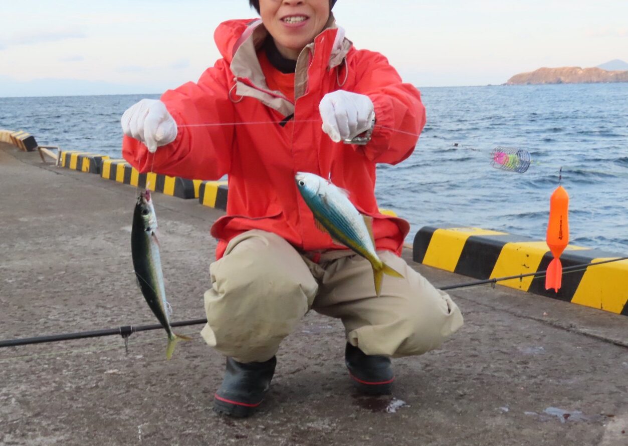 釣果］真冬の桟橋でムロアジ爆釣！タカベもGET！ | 式根島マガジン