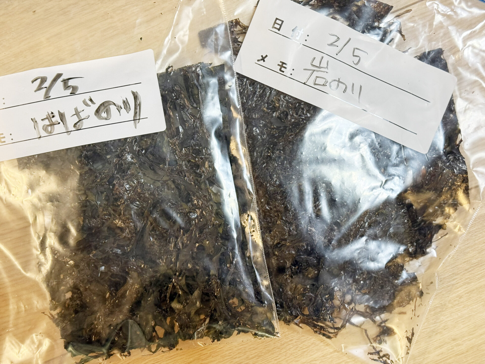 保存用のハバノリと岩海苔