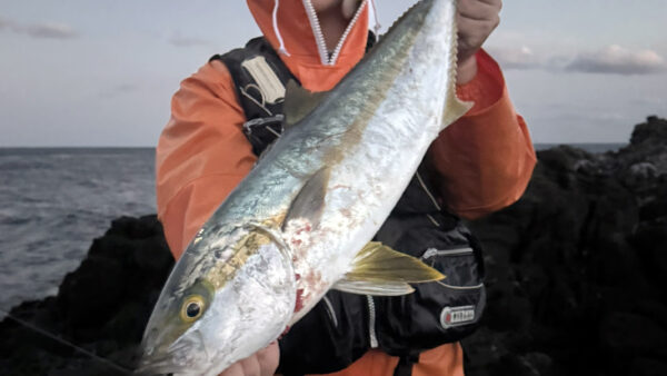 ヒデ君の2026年元旦初釣りは初の地磯ヒラマサ！