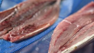 式根島でよく釣れるアオムロの干物の作りかた