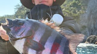 ［釣果］桟橋で立派な石鯛が上がる式根島！