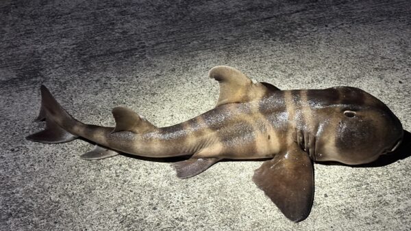 Vol.025｜お盆三巡