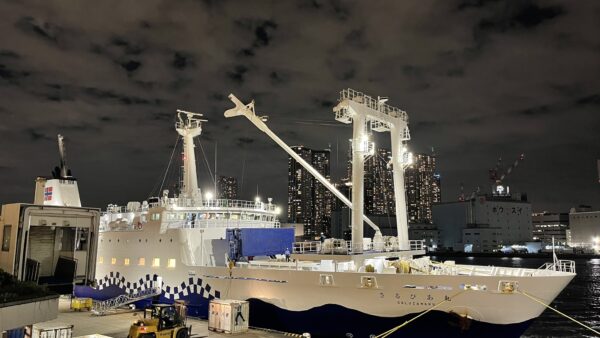 2026年4月5月6月の式根島旅行計画のコツ｜東海汽船の配船攻略法