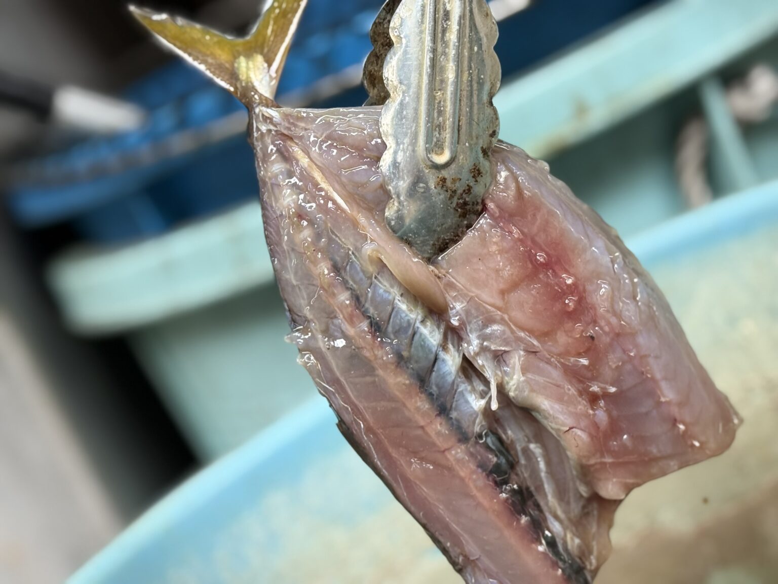 式根島の「くさや」の物語と作り方、食べ方 | 式根島マガジン|東京の離島