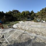 開墾して拡張！今年はいっそう気合が入っている、ひだぶん畑です