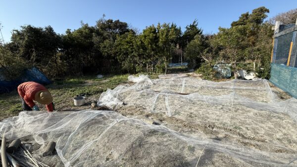 開墾して拡張！今年はいっそう気合が入っている、ひだぶん畑です