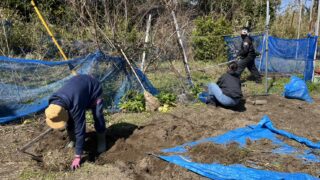 1か月間式根島で働いてくれた「おてつたびちゃん」
