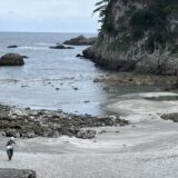 3月～5月の春の大潮と式根島｜幻の温泉に出会える季節