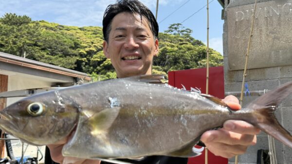 ［GW式根島釣果］式根島常連モリ突き師が見事カンパチGET！