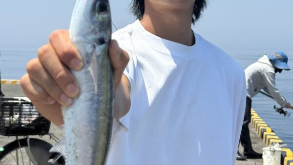 日本のおじいちゃんに顔見せついでにオーストラリアから式根島遠征！温泉と釣りを満喫！