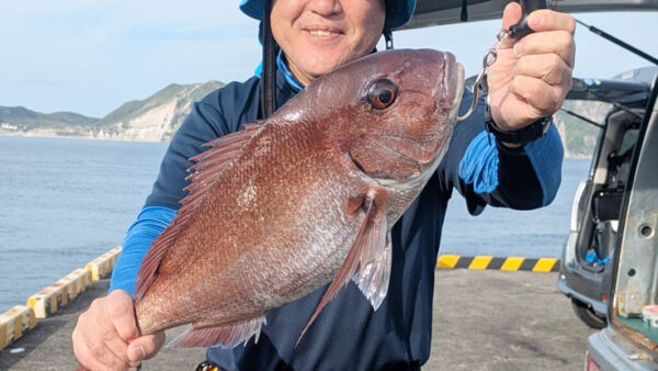 ［式根島釣果］桟橋から真鯛3㎏、銀ワサ（石鯛）1.5㎏、アカイカたくさん！