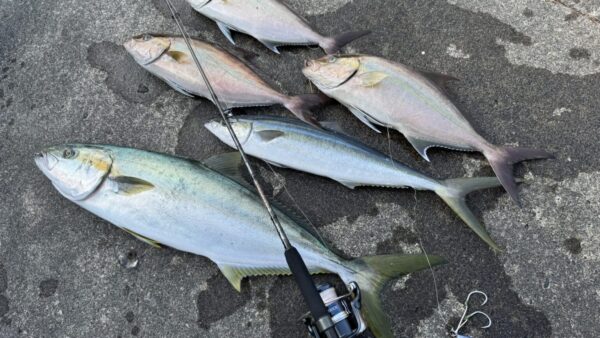 Pier Fishing Guide, Shikinejima, Japan: Best Spots, Gear, and Essential Manners ...