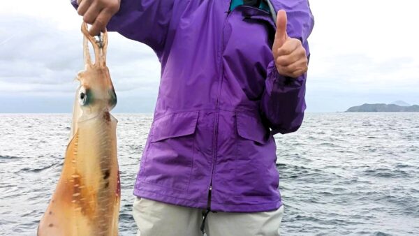 【式根島釣果】アオリイカ2.4㎏にスルメイカ！イカ釣りが楽しい6月の式根島