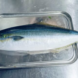 ［式根島の釣果］朝マヅメのカゴ釣りでツムブリ50㎝！