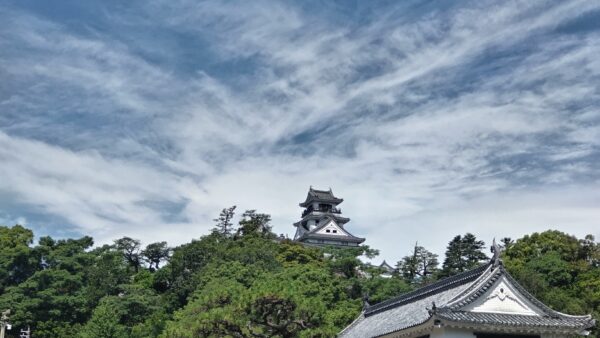 楊梅(やまもも)の熟れる頃