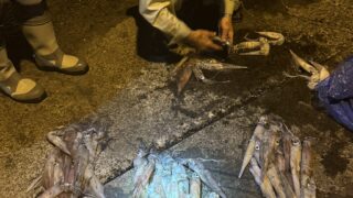 【式根島釣果】チームひだぶん再びアカイカ釣り炸裂！80ハイ！